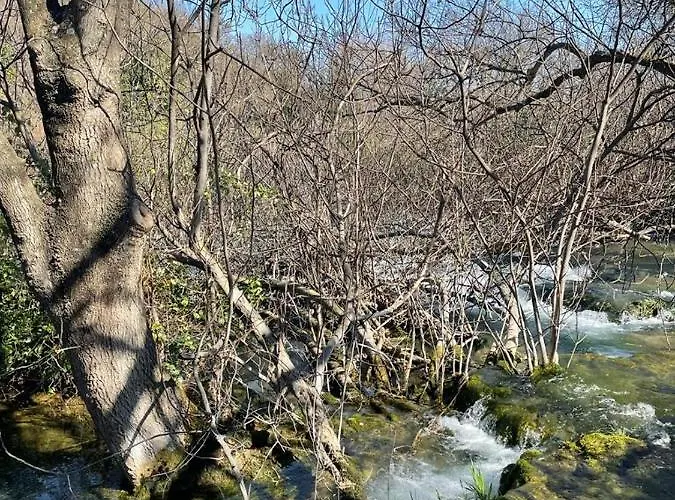 Maritim With Bicycle Garage Apartment *